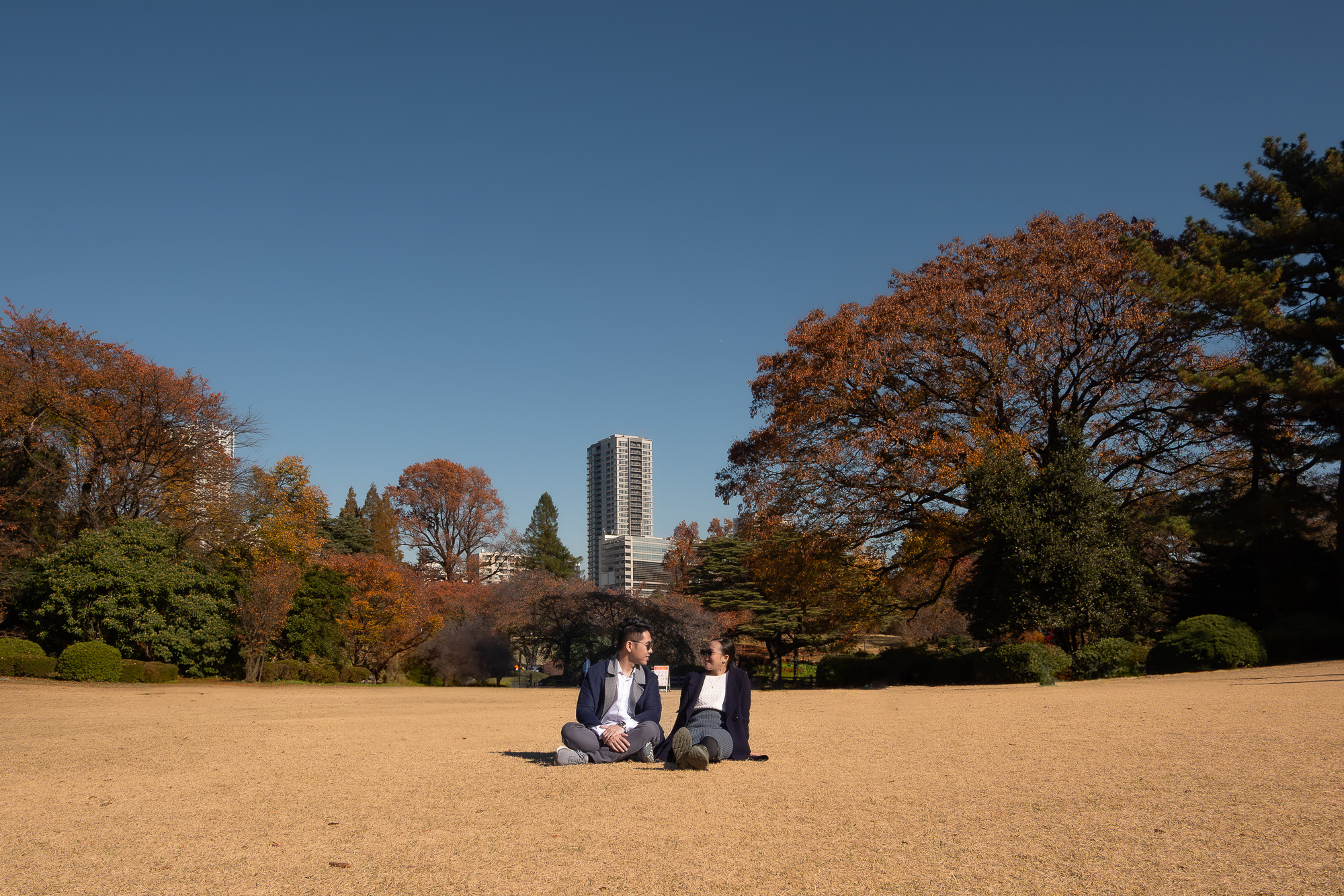 Autumn park